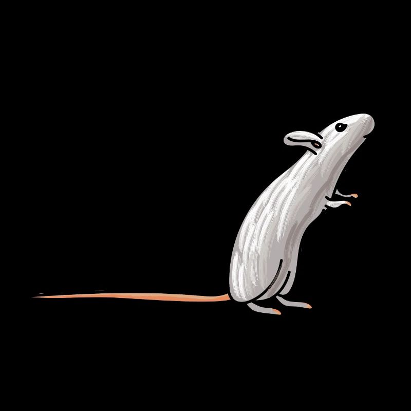 Drôle de rat