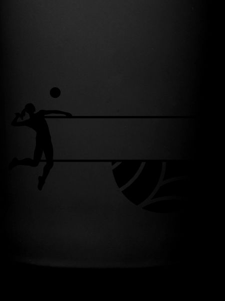 volleyball