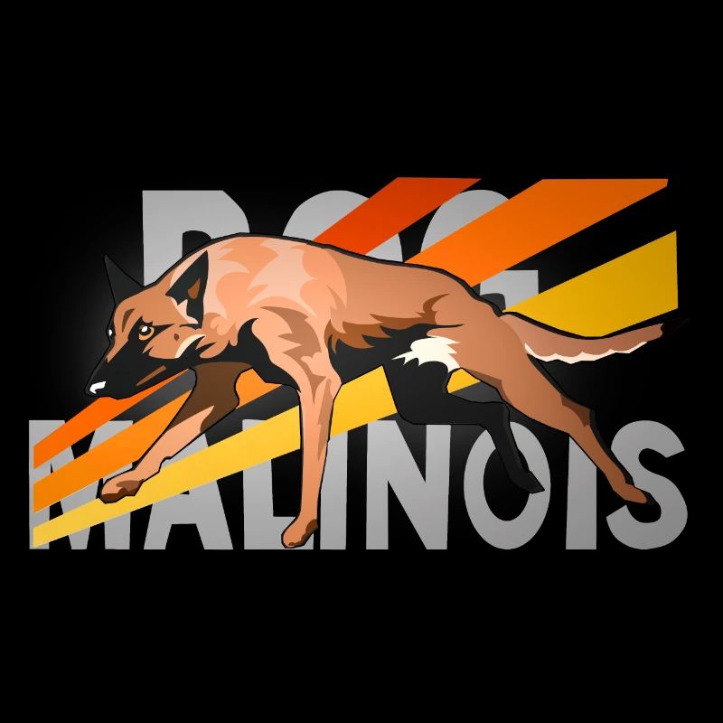 rapide malinois