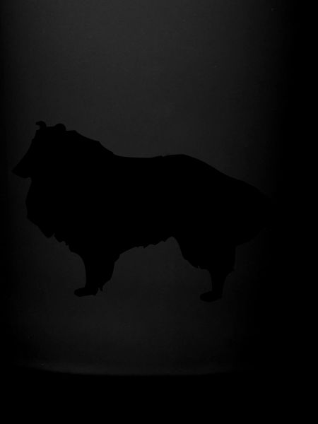 Chien