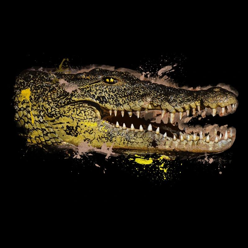 Krokodil Kaiman Alligator Echsen Reptil Krokodil