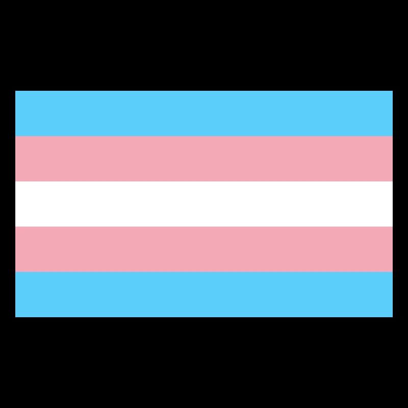 Trans* flag <3