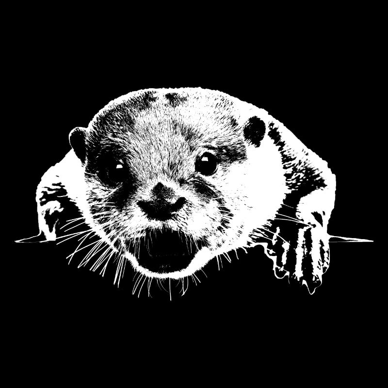 Otter
