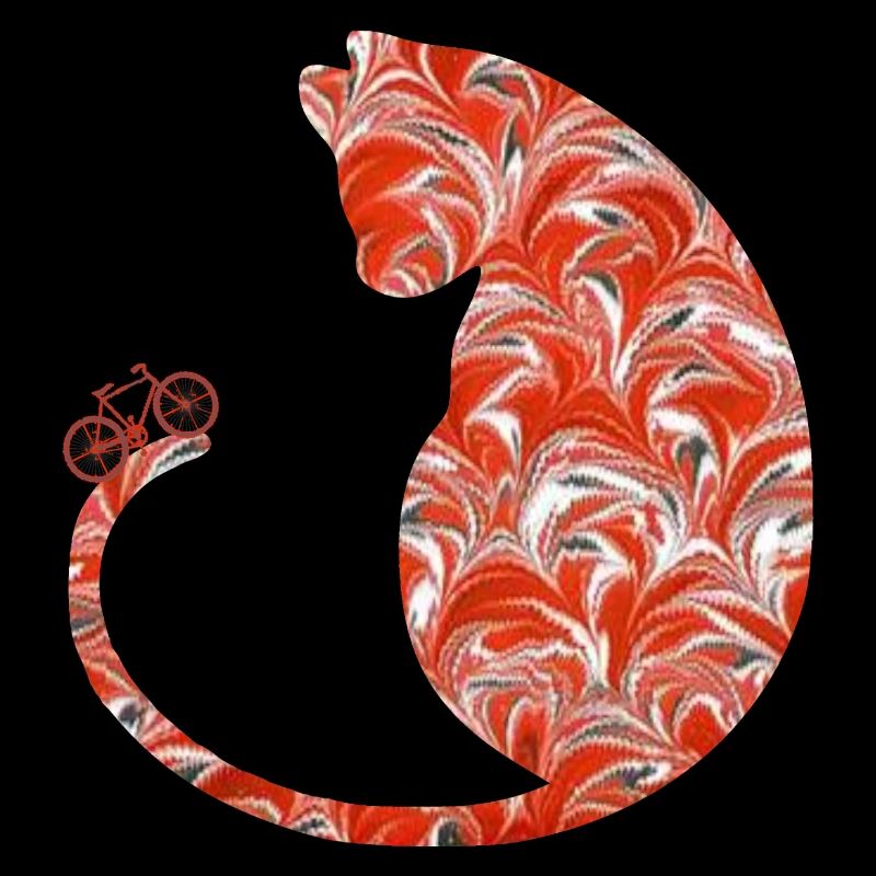 chat à vélo e 231