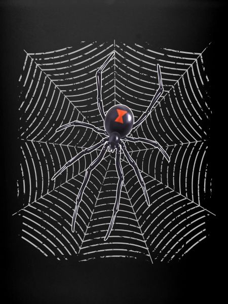 Araignée sur le web
