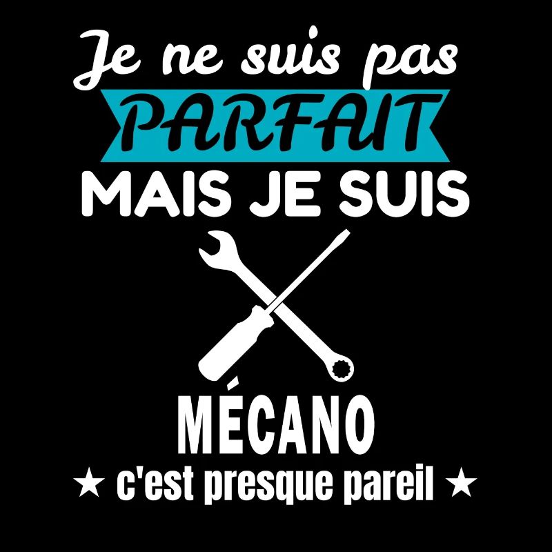 je ne suis pas parfait Mécano cadeau Mécano