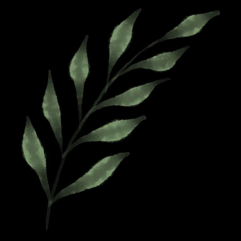 Feuille de branche symbole