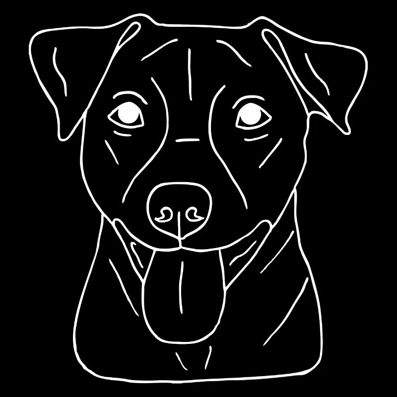 Jack Russell Terrier