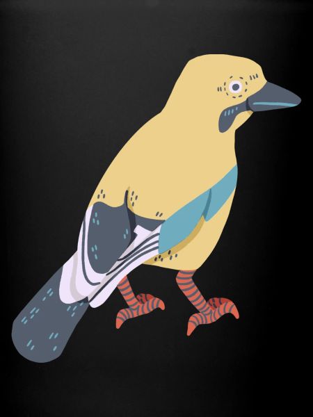 Jay