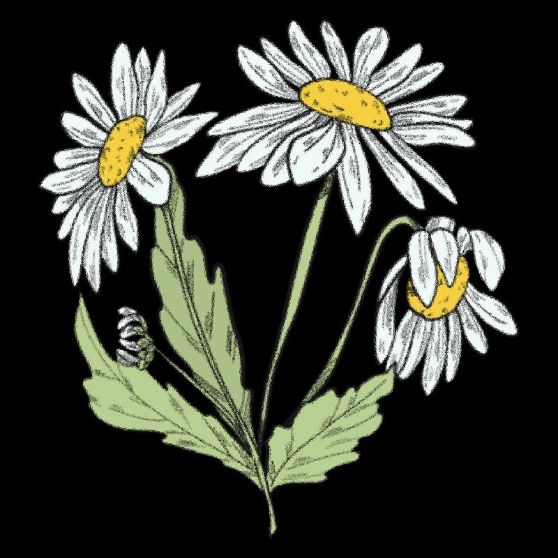 Cottagecore Blume Mond Gänseblümchen