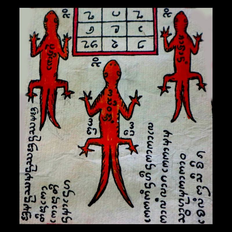 Auspicious Thai Lizard