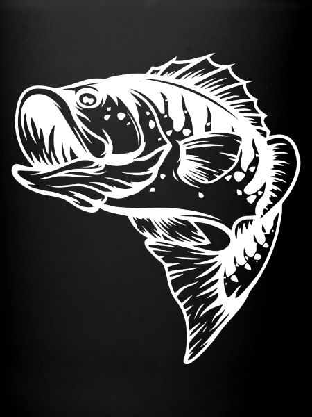 Detailed Fish Skeleton Illustration