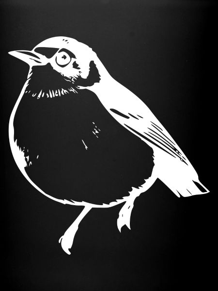Bird white