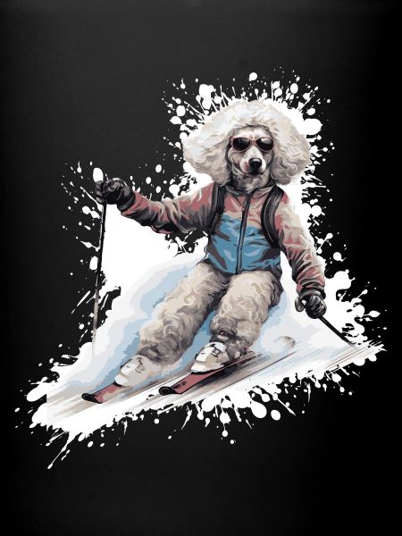 Caniche Chien Ski Ski