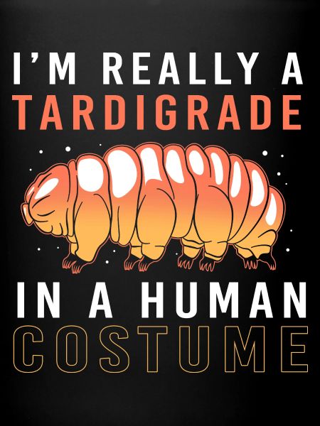 Tardigrade Ours d’eau tardigrade Tardigrade