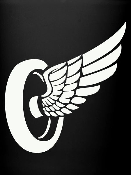 Tire Wings