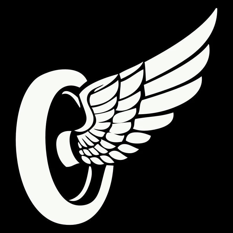 Tire Wings