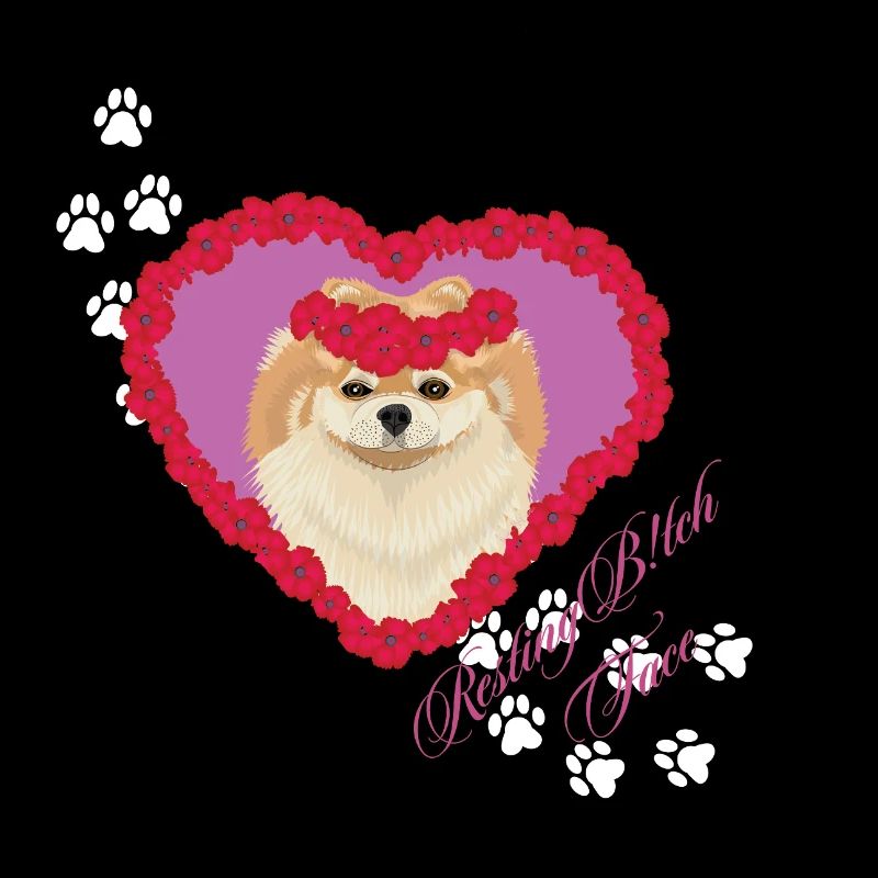 Ruhende Tch-Gesicht-Pomeranian