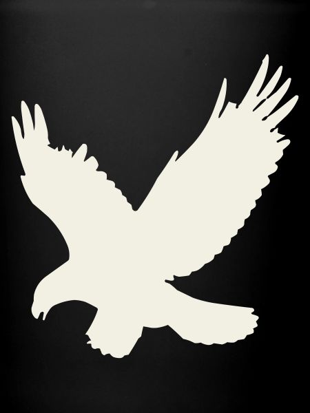 Silhouette d’aigle en vol