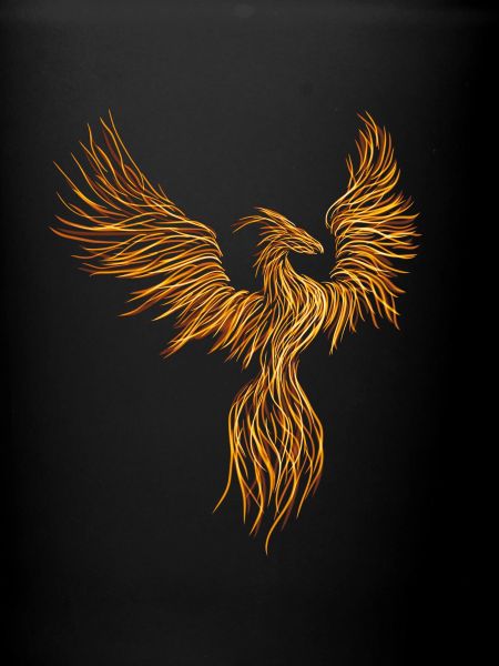 Phoenix du feu