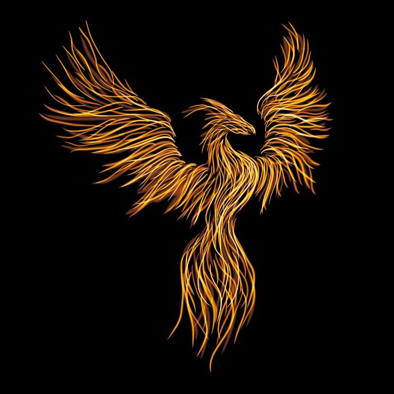 Phoenix from fire