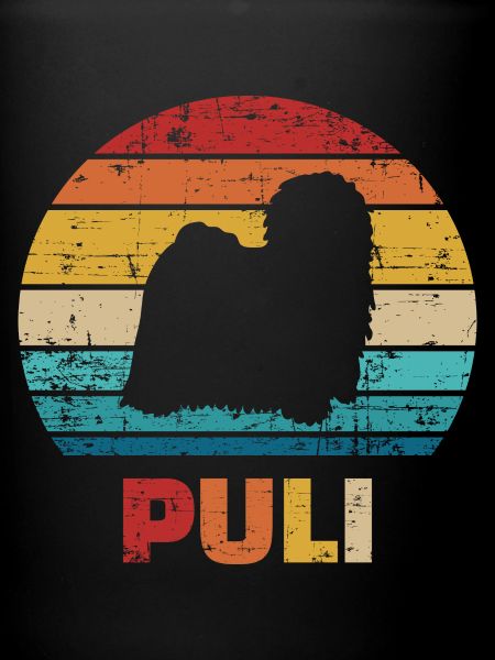 Puli
