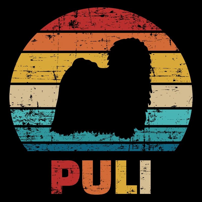 Puli