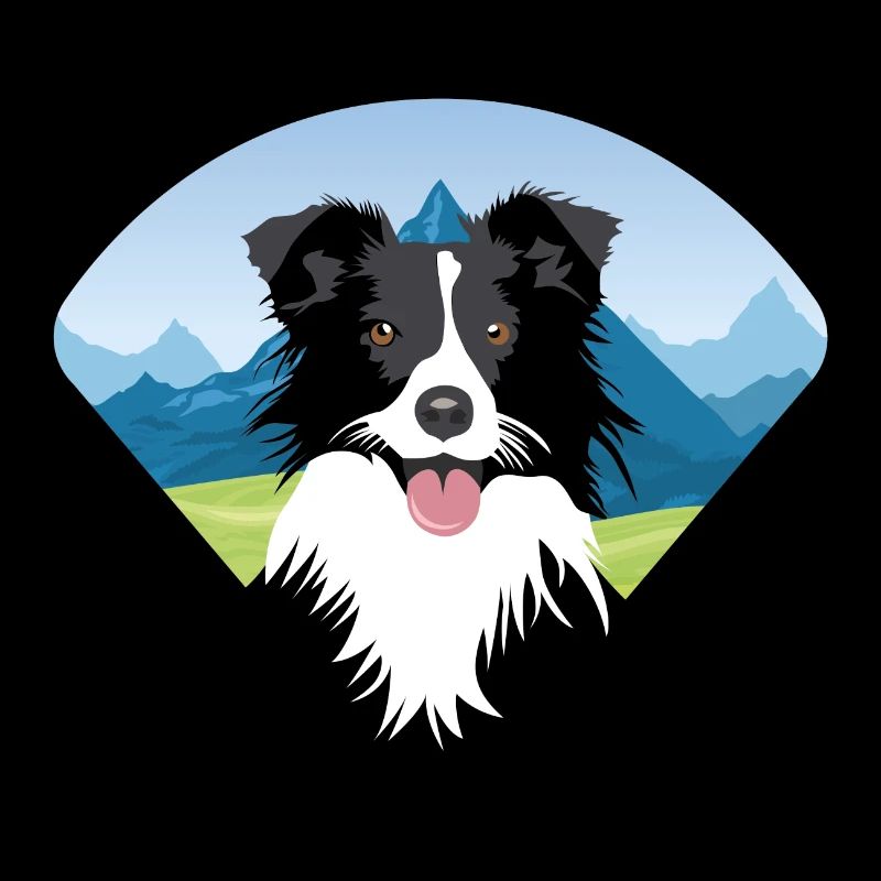 Border collie