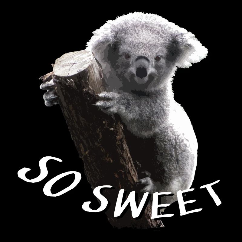 Koalabär - Koala - Koala bear