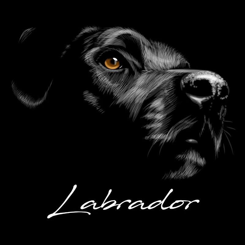 Labrador