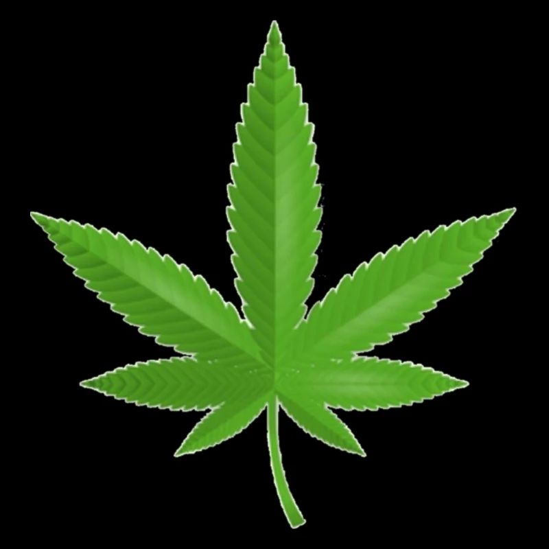 Cannabis Fleur