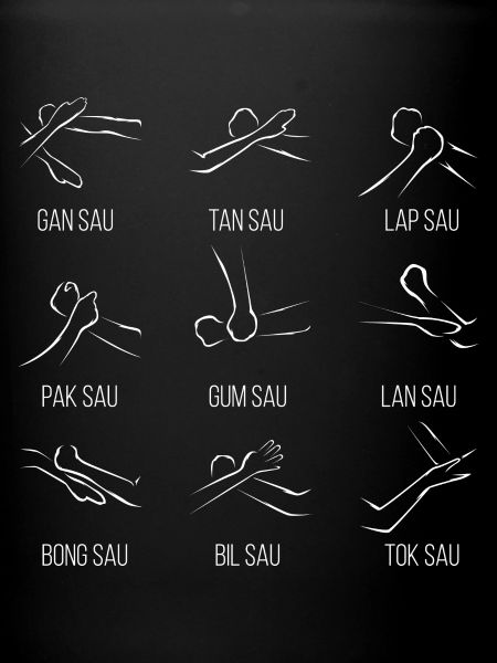 Wingtsun Wing chun