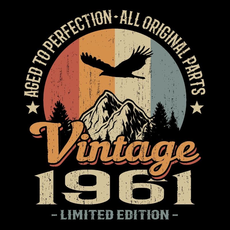 Vintage retro 1961