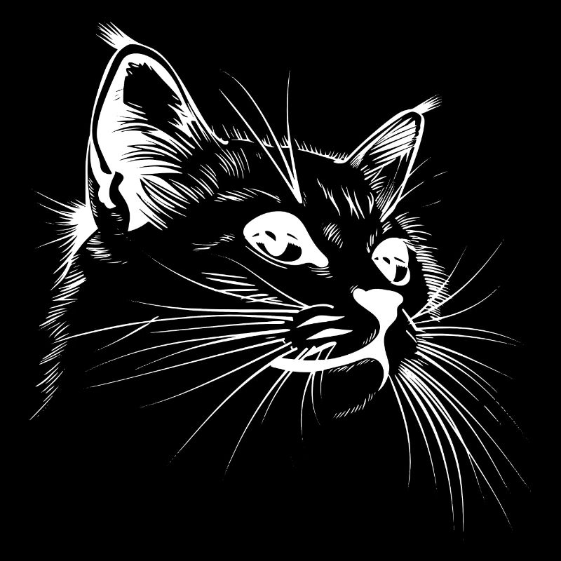Chat, Motif De Chat, Visage De Chat