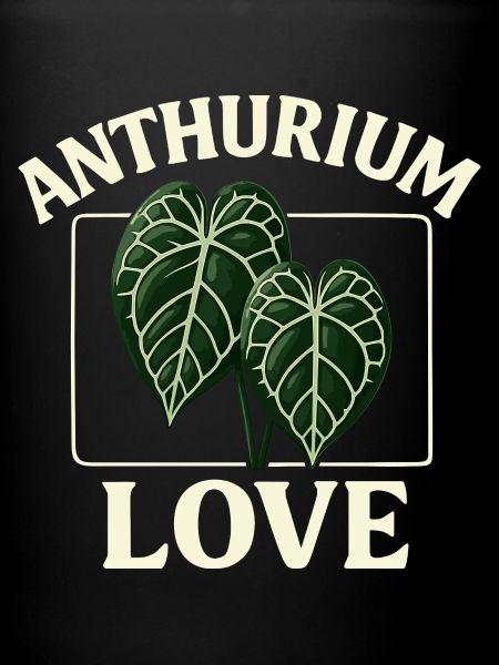 Anthurium Love