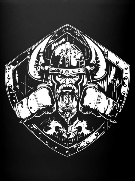 MMA de boxe viking