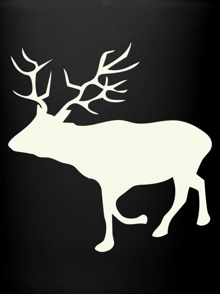 Deer Roe Deer