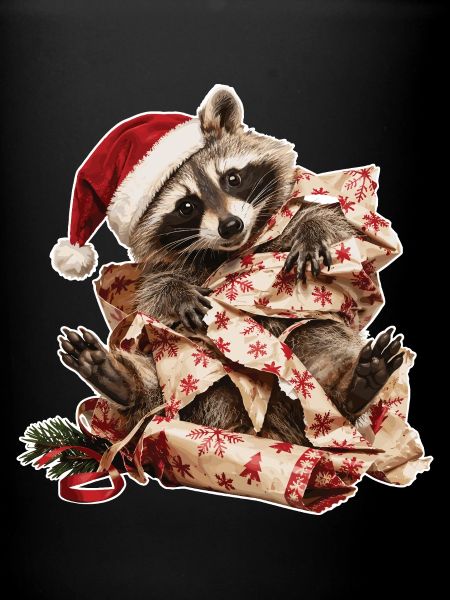 Raccoon in gift chaos