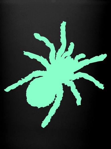 spinne