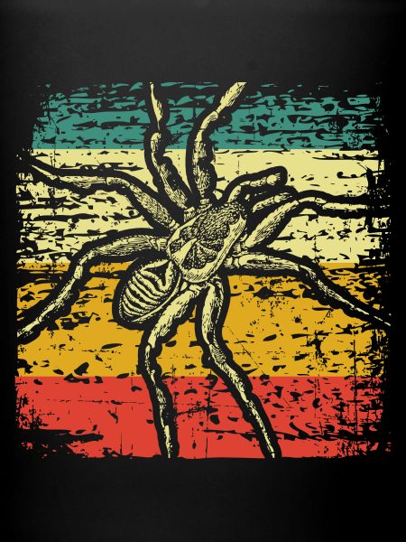 Araignées Animaux