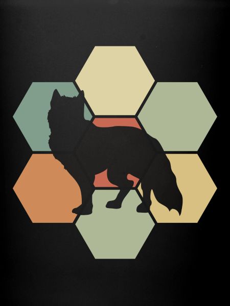 Fox foxes