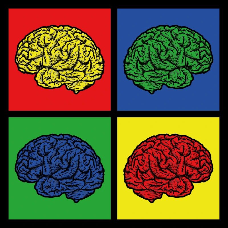 Cerveau