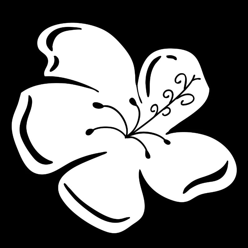 Beau cadeau de vacances de fleur de lac Hawaï mer Asie cadeau