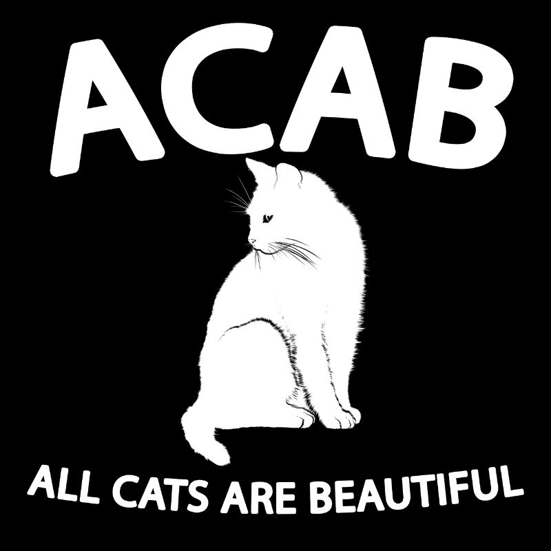 ACAB 1312