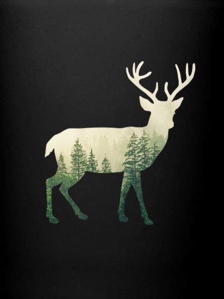 Forest Deer