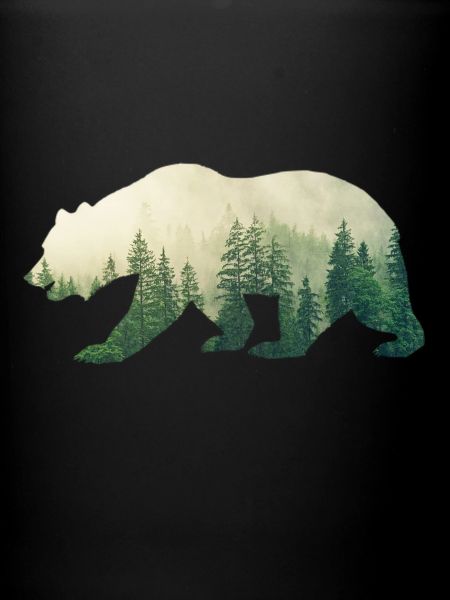 Ours Grizzly