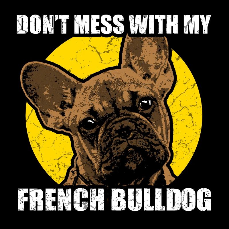 Bouledogue français bouledogue français