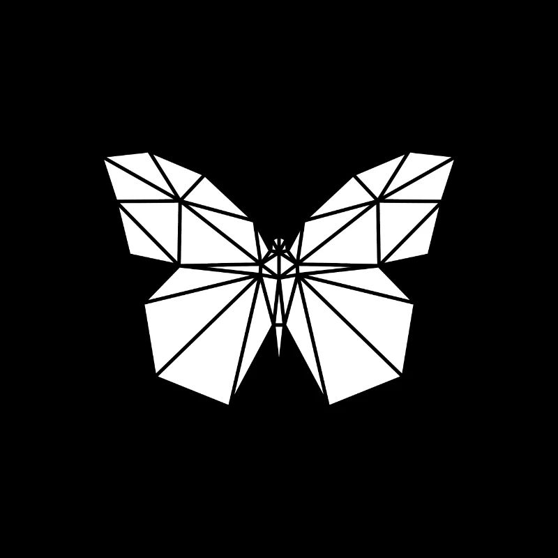 Polygon Butterfly