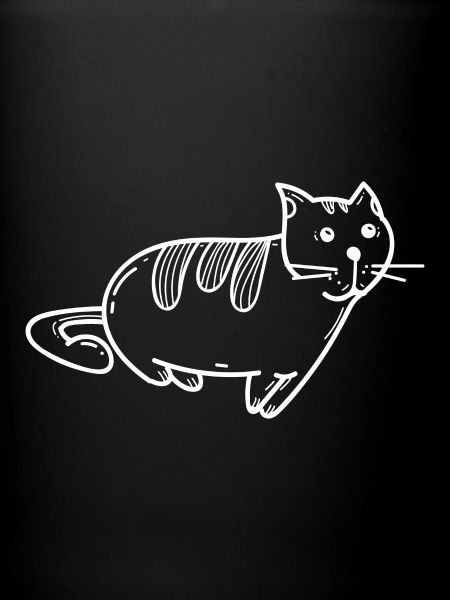 Cat kitten kitty