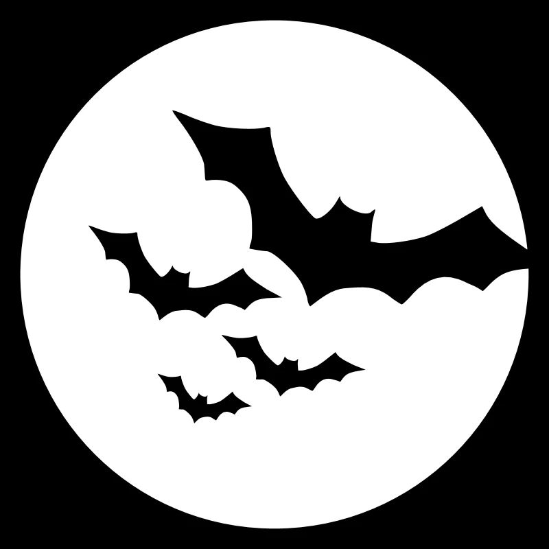 Fledermaus